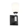 Rosalind 1-Light Black Bathroom Wall Sconce with Satin Etched Cased Opal Glass Shade by KICHLER 1 Rosalind 1-Light Black Bathroom Wall Sconce with Satin Etched Cased Opal Glass Shade by KICHLER -Kichler Sales black kichler vanity lighting 55145bk 64 1000