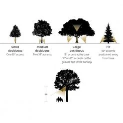 Fixed Socket 12-Volt Centennial Brass Low Voltage Outdoor Weather Resistant Drop-In Spotlight with No Bulbs Included by KICHLER -Kichler Sales centennial brass kichler spotlights 15517cbr 40 1000