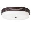Ceiling Space 14 in. Olde Bronze Integrated LED Hallway Dome Flush Mount Ceiling Light with Opal Etched Glass by KICHLER -Kichler Sales olde bronze kichler flush mount lights 42380ozledr 64 1000